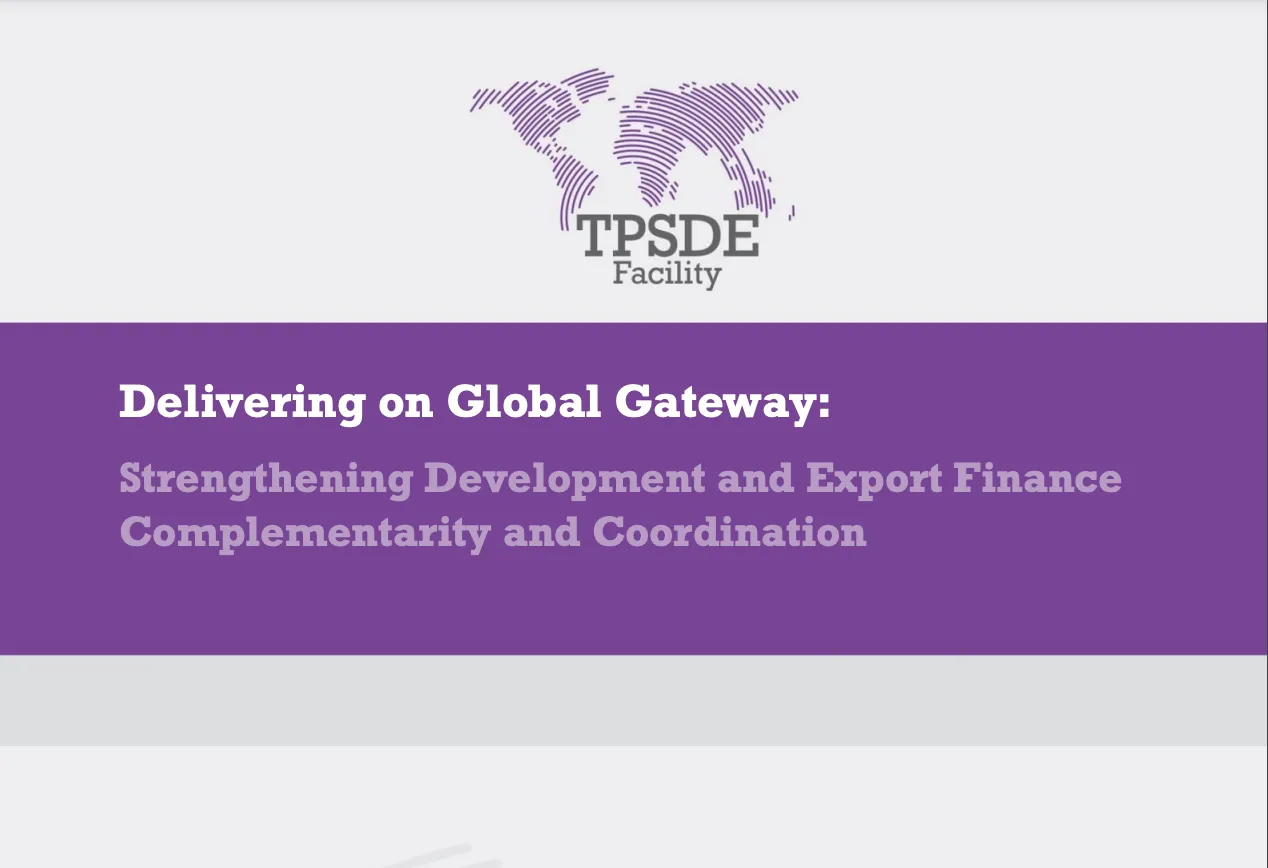 Delivering on Global Gateway: Strengthening Development and Export Finance Complementarity and Coordination