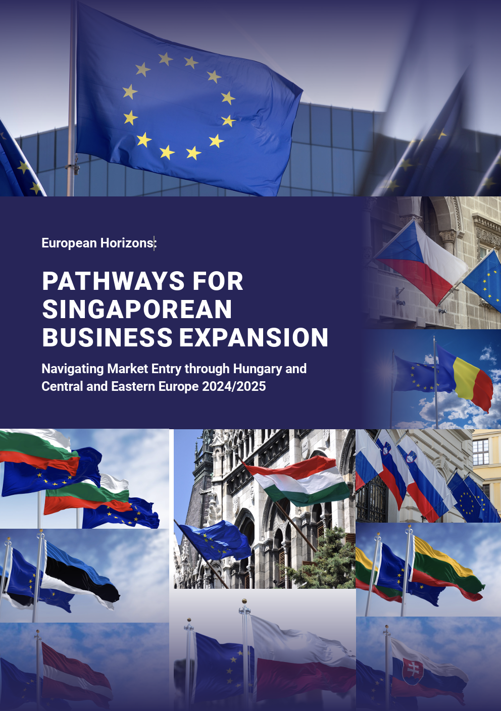 European Horizons – Pathways For Singaporean Business Expansion