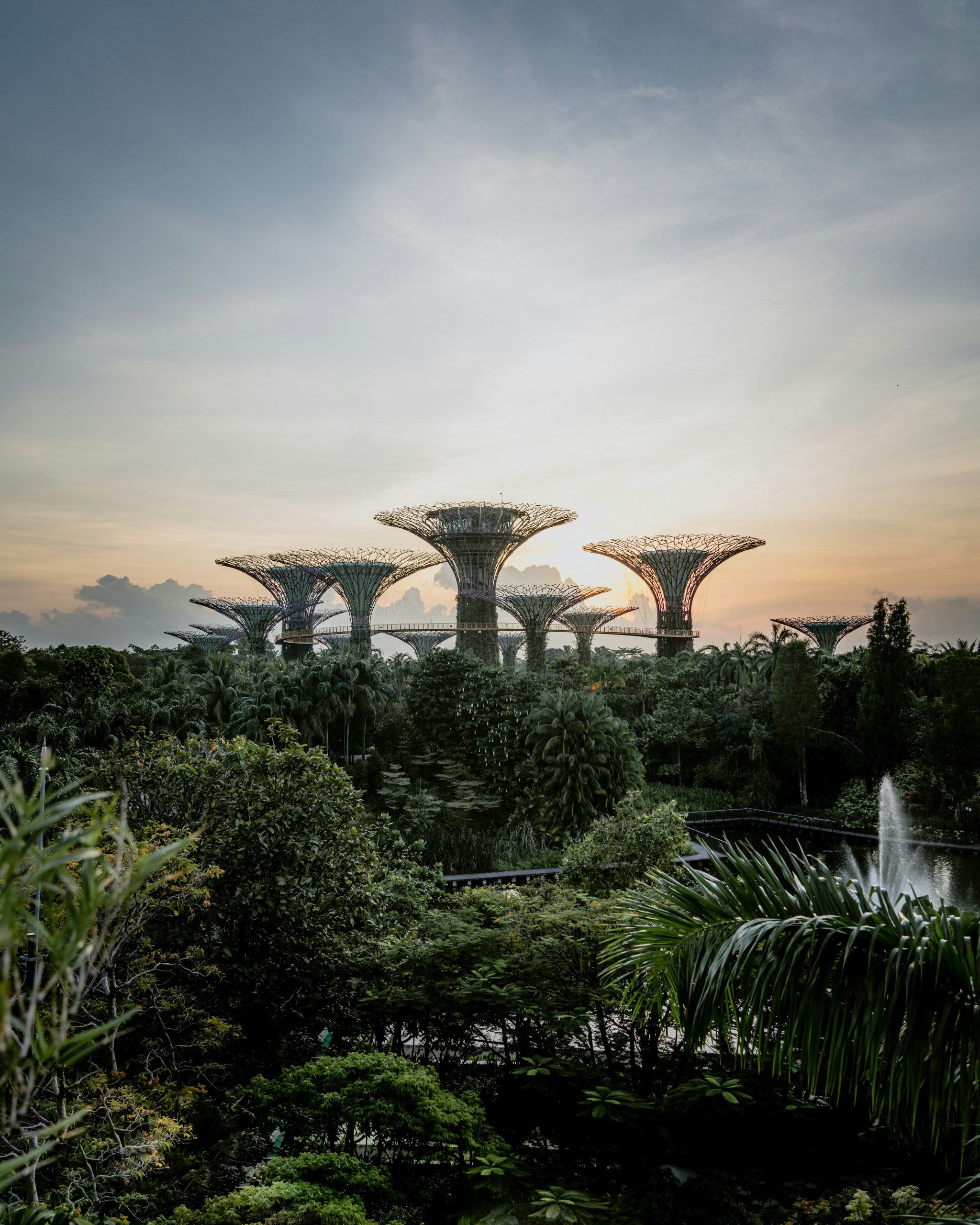 Singapore Government to launch a Business Adaptation Grant by Oct 2025